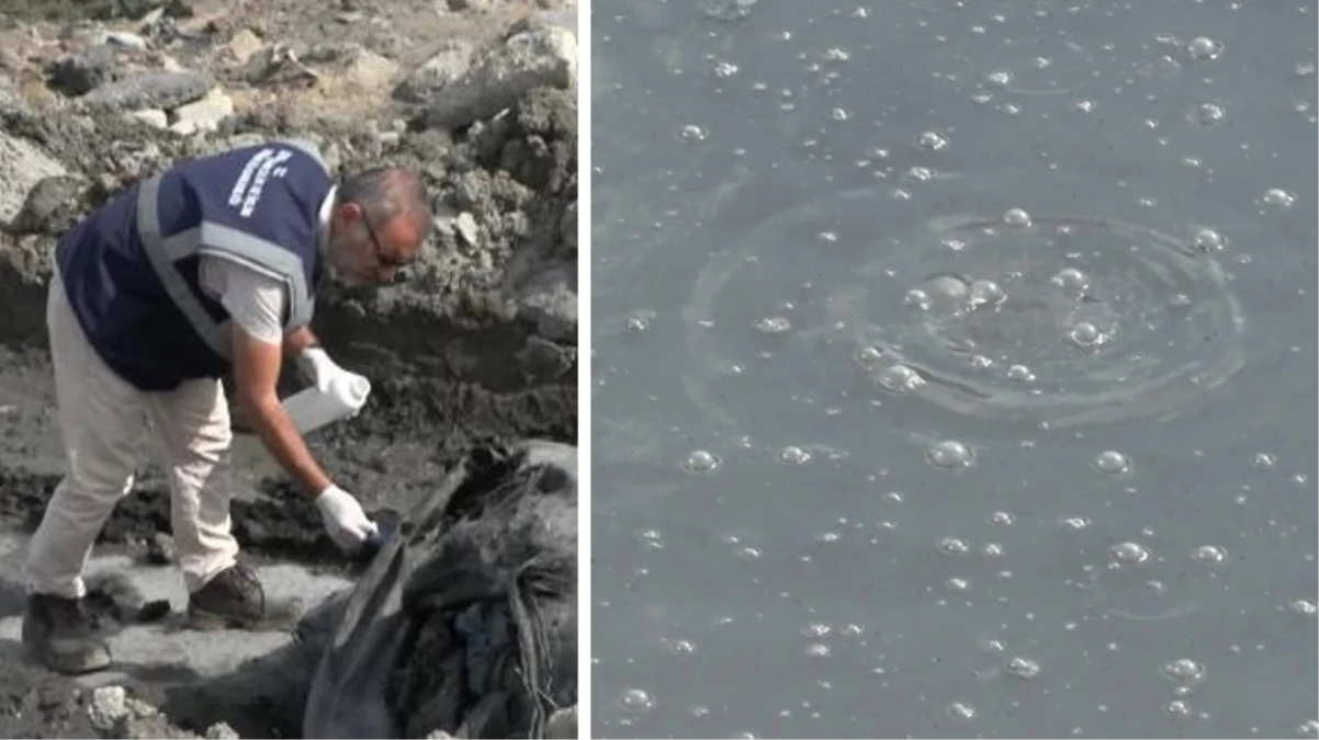 İstanbul'da kimyasal atık paniği: Attığımız çekirdek paramparça oldu