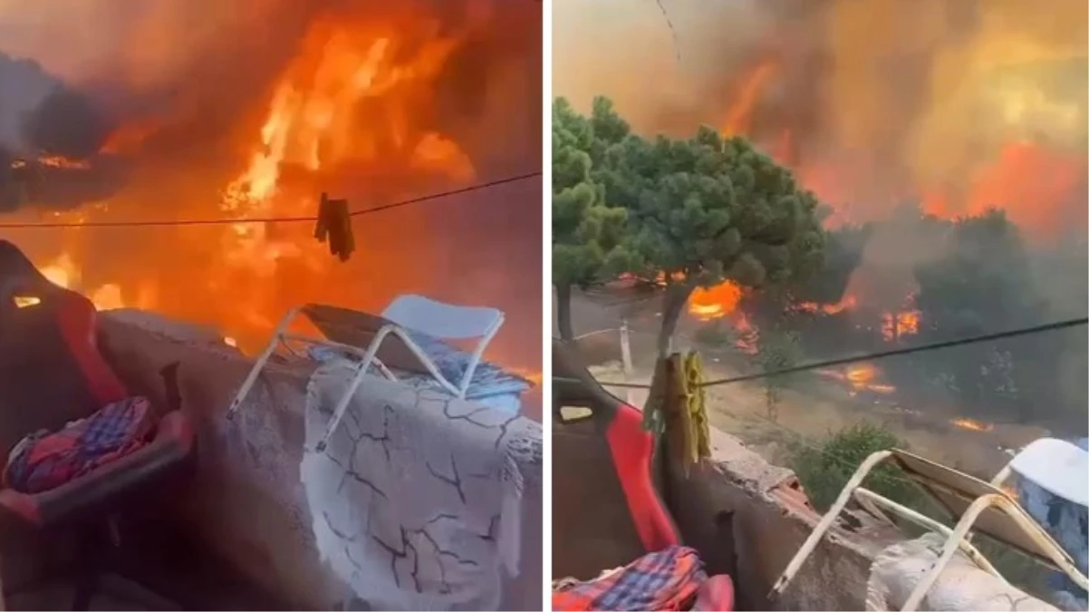 İstanbul'da orman yangını! Hızla büyüyen alevler bölgedeki evlere kadar ulaştı