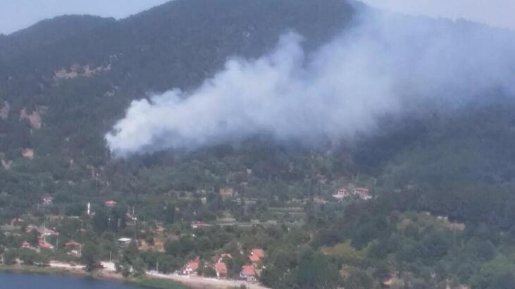 İzmir Ödemiş'te orman yangını! Müdahale başladı