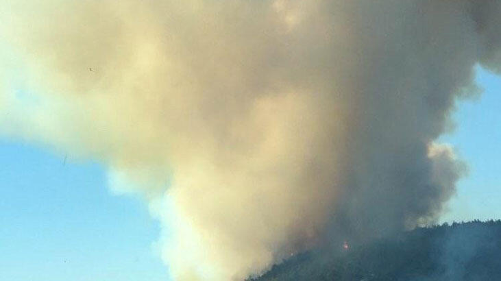 İzmir'de aynı günde 3 yangın