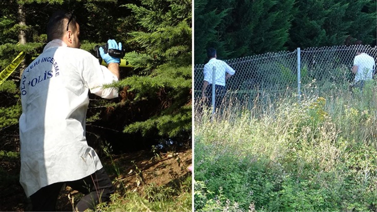 İzmit'te yol kenarındaki yeşillikte çürümüş erkek cesedi bulundu