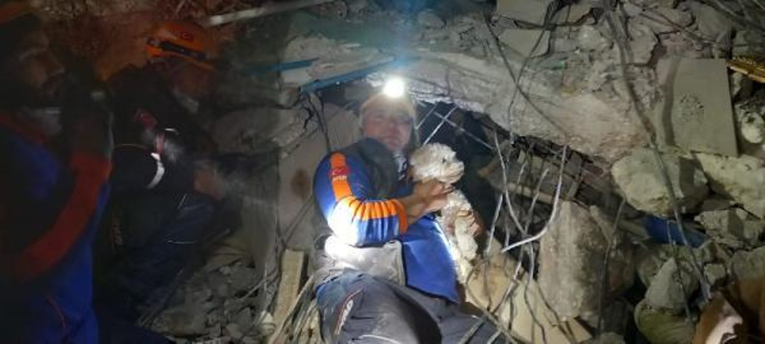 Kabındaki mama ile 25 gün hayatta kalan 'Fıstık', kurtarıldı