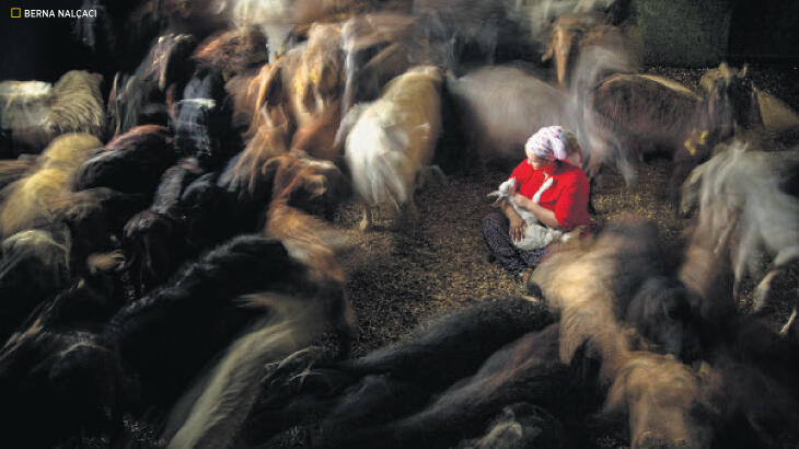 ‘Kadın gözüyle hayattan kareler’