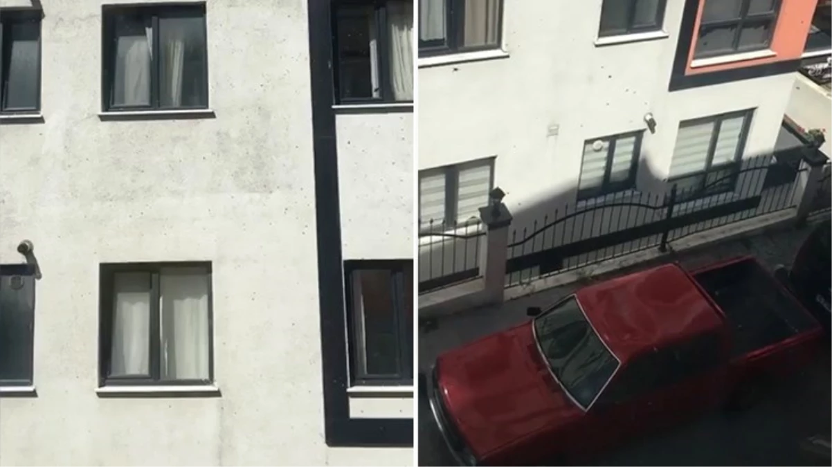 Kağıthane'de arı istilası! Vatandaşlar pencereleri açamadı