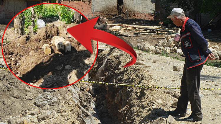 Kanalizasyonda Apollon olduğu düşünülen heykel bulundu