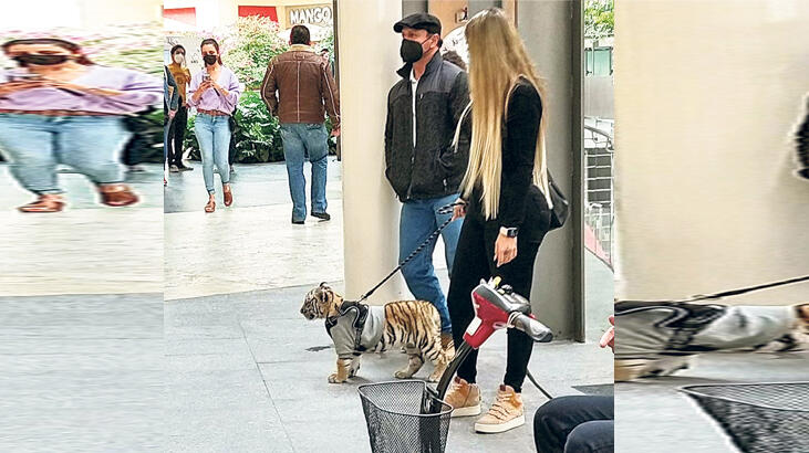 Kaplanıyla alışverişte