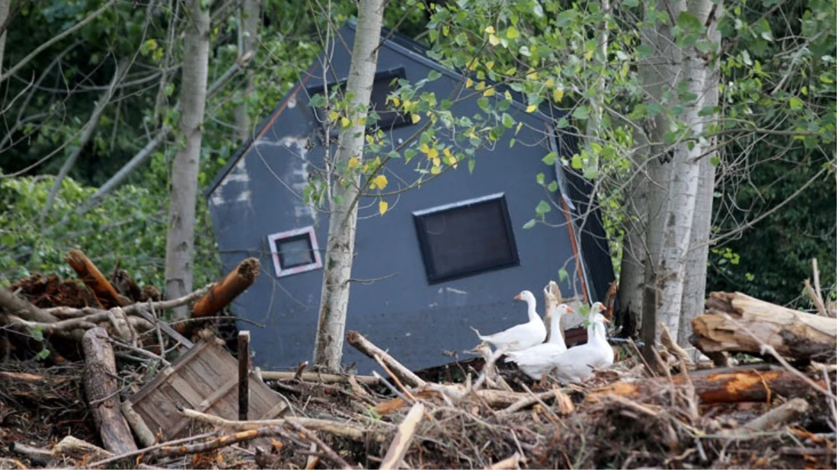 Kırklareli'nde 5 kişinin hayatını kaybettiği bungalov evlerin işletme sahibi hakkında gözaltı kararı verildi