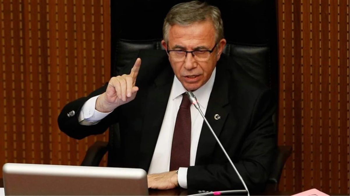 Kısırlaştırma çözüm mü? Yavaş'ın sokak hayvanlarıyla ilgili tespiti yeniden gündem oldu