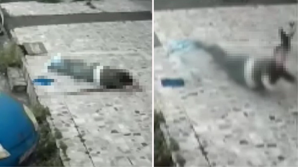 Kocaeli'de balkon camlarını temizlerken düşen kadın hayatını kaybetti! O anlar kamerada