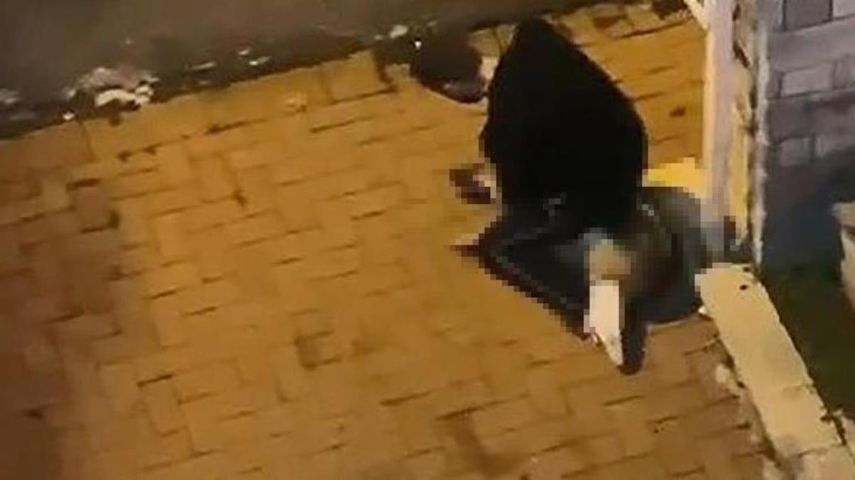 Konya'daki vahşetin ardından kan donduran bir görüntü de İstanbul'da kaydedildi! Köpeği boğmaya çalıştı