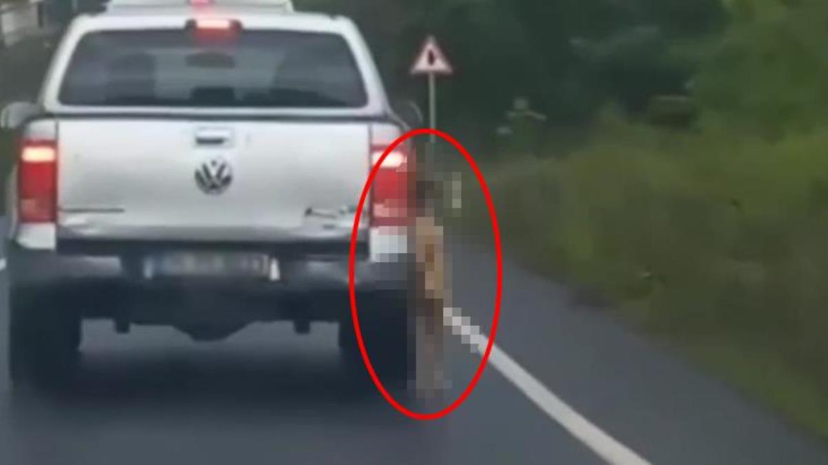 Köpeği boğazından araca asıp seyahat etti! Kesilen ceza vicdanları yaraladı