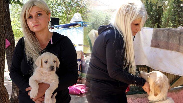 Köpeğini almak için geldiği barınağı yağmaladı