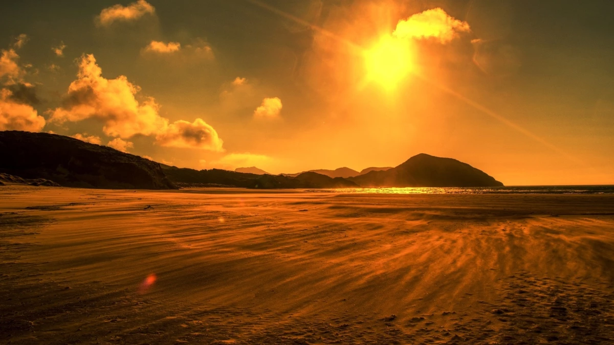 Korkunç iklim araştırması! Aşırı sıcaklar tüm memelileri yok edebilir