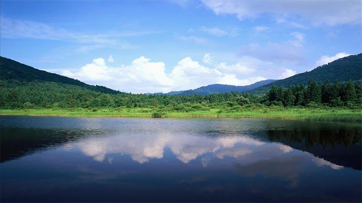 Korkutan açıklama! Dünya için büyük tehlike