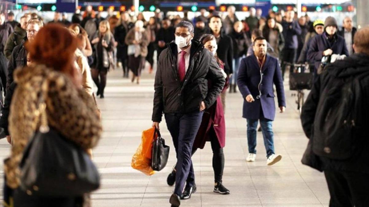 Koronavirüs bitmeden İngiltere'de kuş gribi salgını patlak verdi