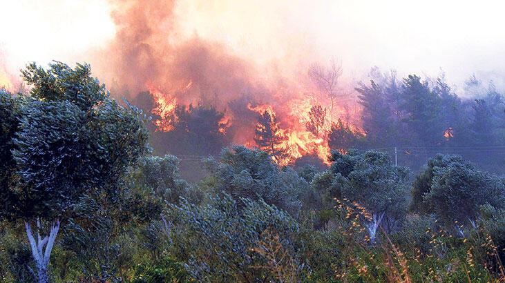 Köylüler  ‘araştırma komisyonu’ istiyor