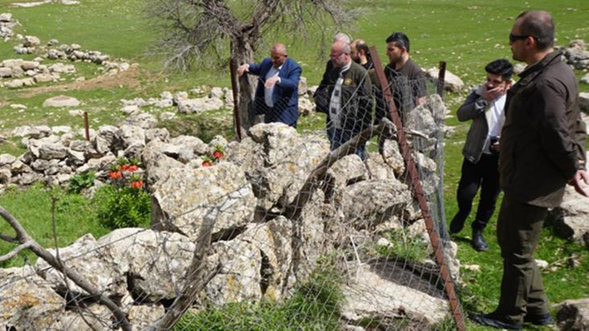 Köylüler, yılın sadece 20 günü açan ters lalelerin başında nöbet tutuyor! Koparmanın cezası 244 bin lira