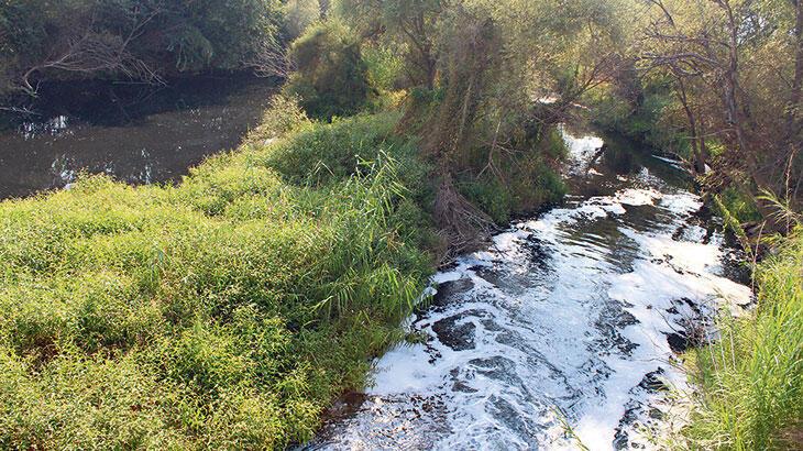 Küçük Menderes deterjan kurbanı!