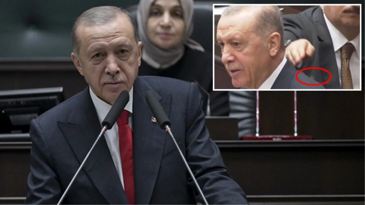 Kürsüde konuşan Erdoğan'ın omzuna arı kondu! Koruması hemen müdahale edip etkisiz hale getirdi