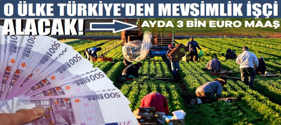 Ayda 3 bin euro maaş: Türkiye'den mevsimlik tarım işçisi alacaklar!