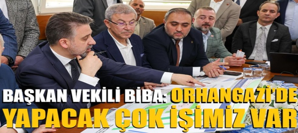 Başkan Vekili Biba : Orhangazi'de yapacak çok işimiz var