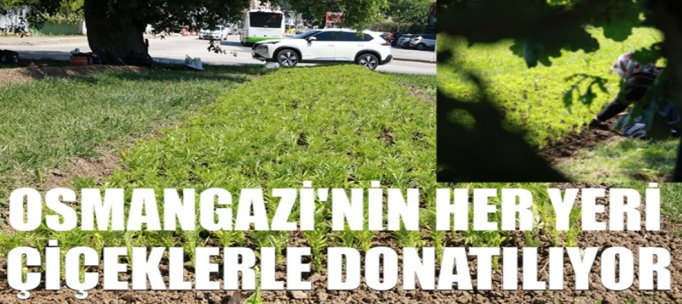 Bu Yaz Osmangazi’de Çiçek Kokuları Eksik Olmayacak 