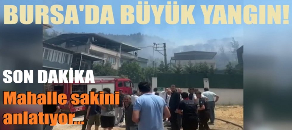 Bursa’da büyük yangın! Vatandaş gözüyle...