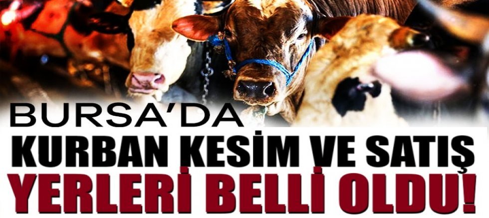 Bursa'da kurban kesim ve satış yerleri belli oldu!