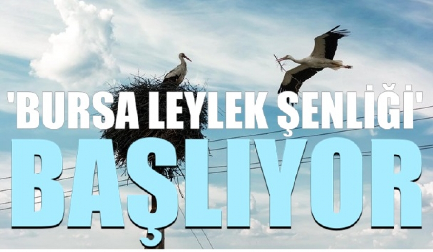 'Bursa Leylek Şenliği' başlıyor
