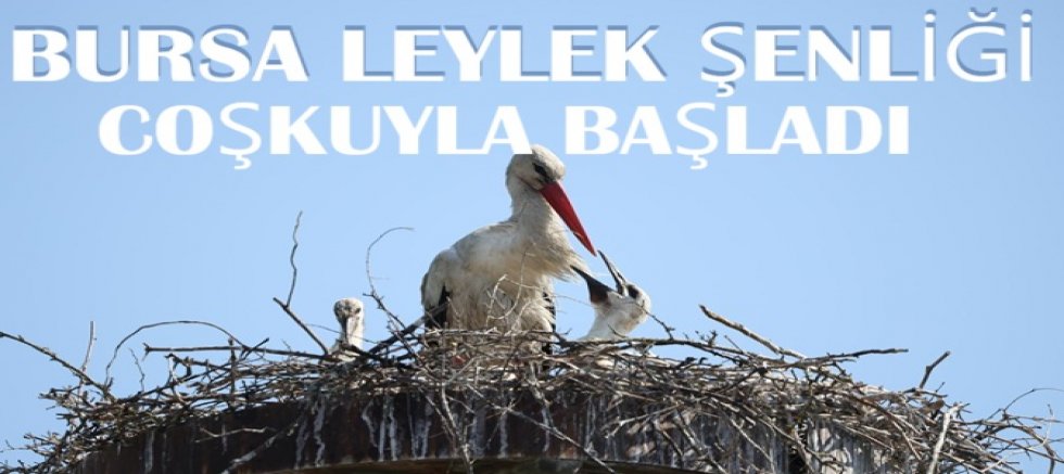 Bursa Leylek Şenliği coşkuyla başladı