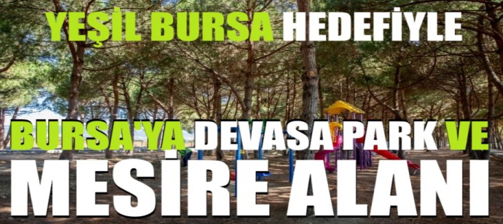 Bursa'ya devasa park ve mesire alanı