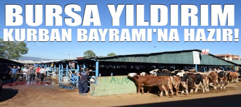 Bursa Yıldırım Kurban Bayramı'na hazır!