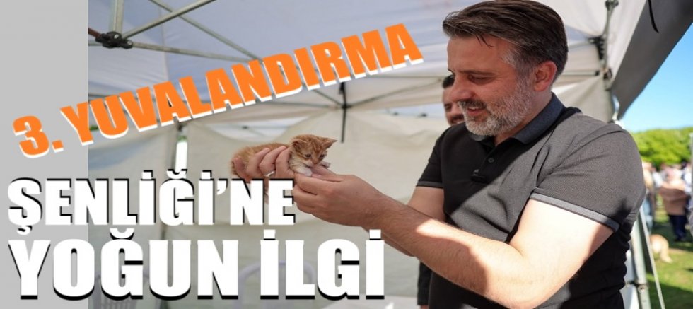 Büyükşehir'den can dostları için yuva seferberliği