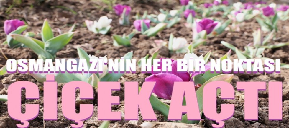 Osmangazi’nin Her Bir Noktası Çiçek Açtı