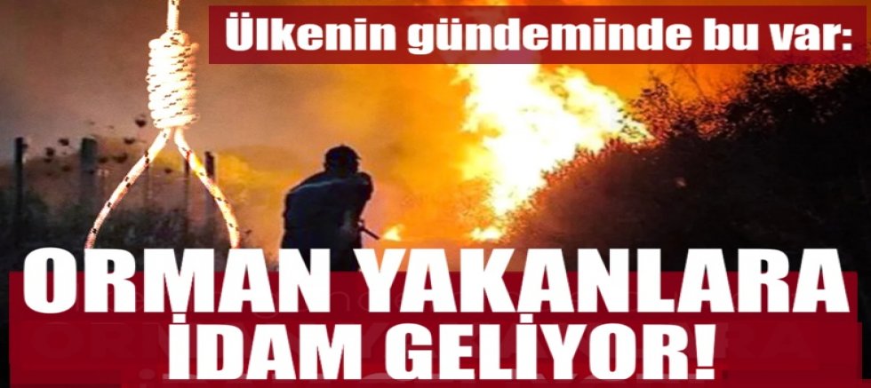 Ülkenin gündeminde bu var: Orman yakanlara idam geliyor!
