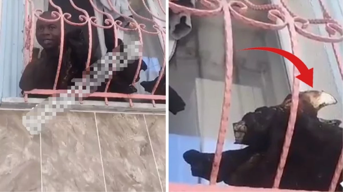 Mahalledeki kötü kokunun izini süren kadın, bu manzara ile karşılaştı: Attıracağım sizi bu evden