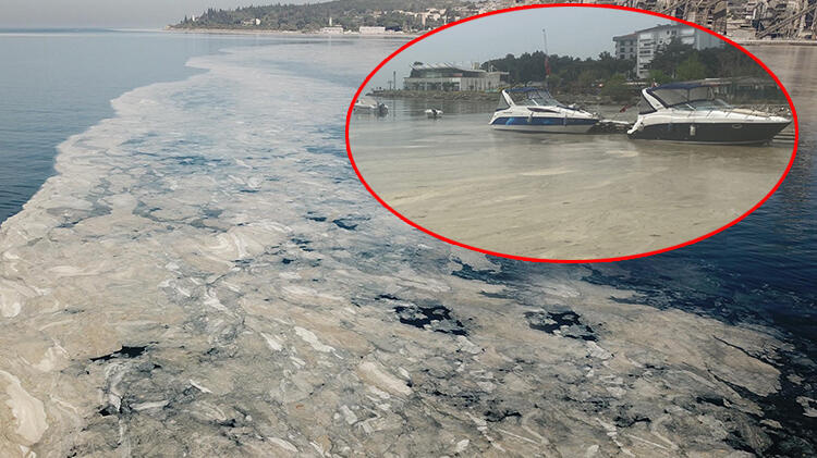 Marmara'da korkutan görüntü! Her yeri sardı