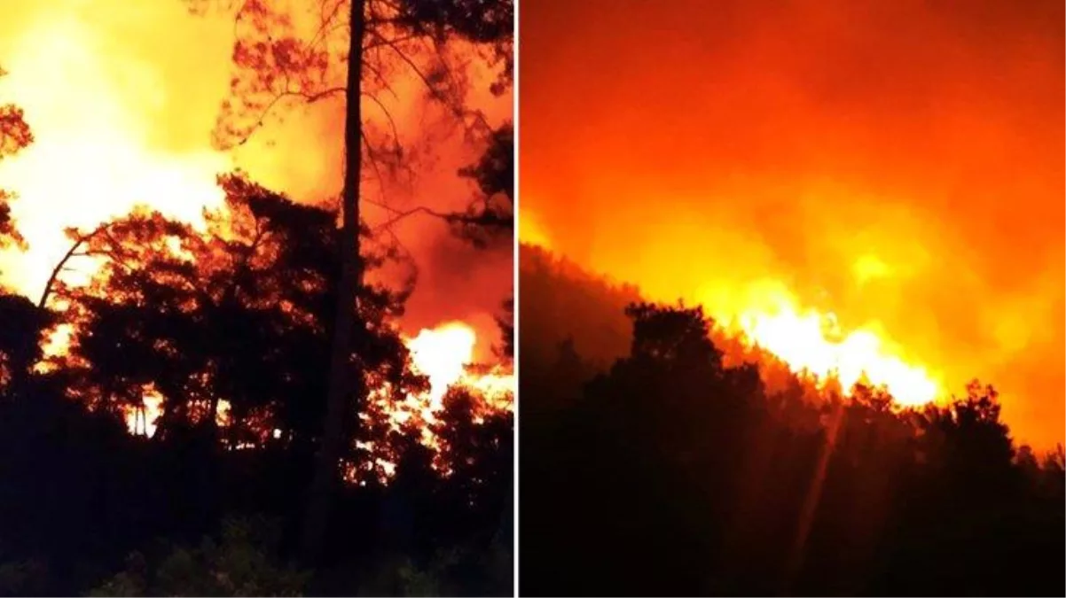 Marmaris'te orman yangını!