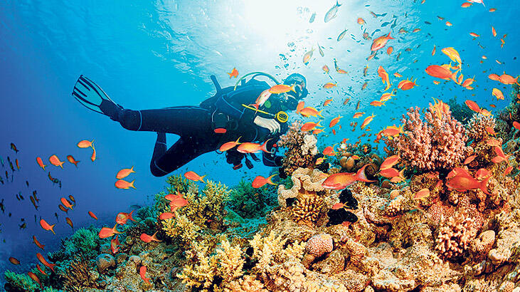 Mavinin en güzel adresleri