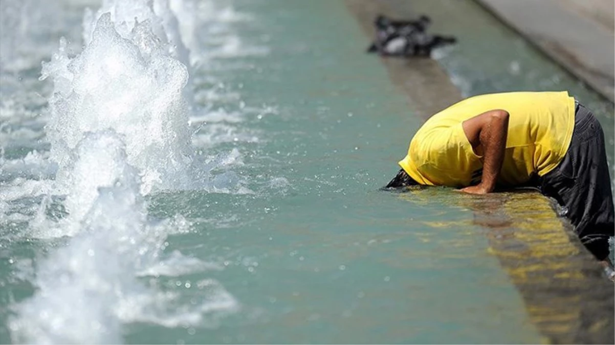 Meksika'da sıcak hava dalgası nedeniyle 8 kişi hayatını kaybetti