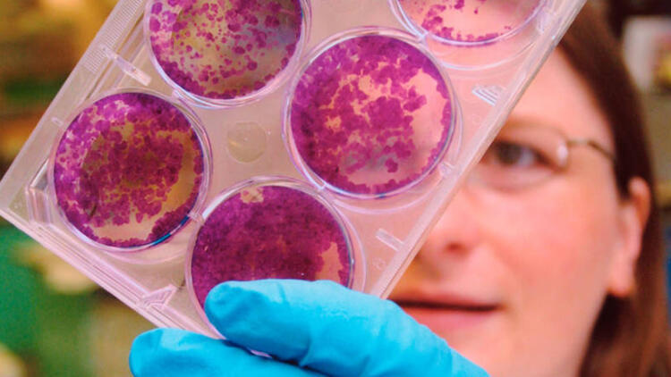 Meme kanserinde doğru bilinen 11 yanlışa dikkat