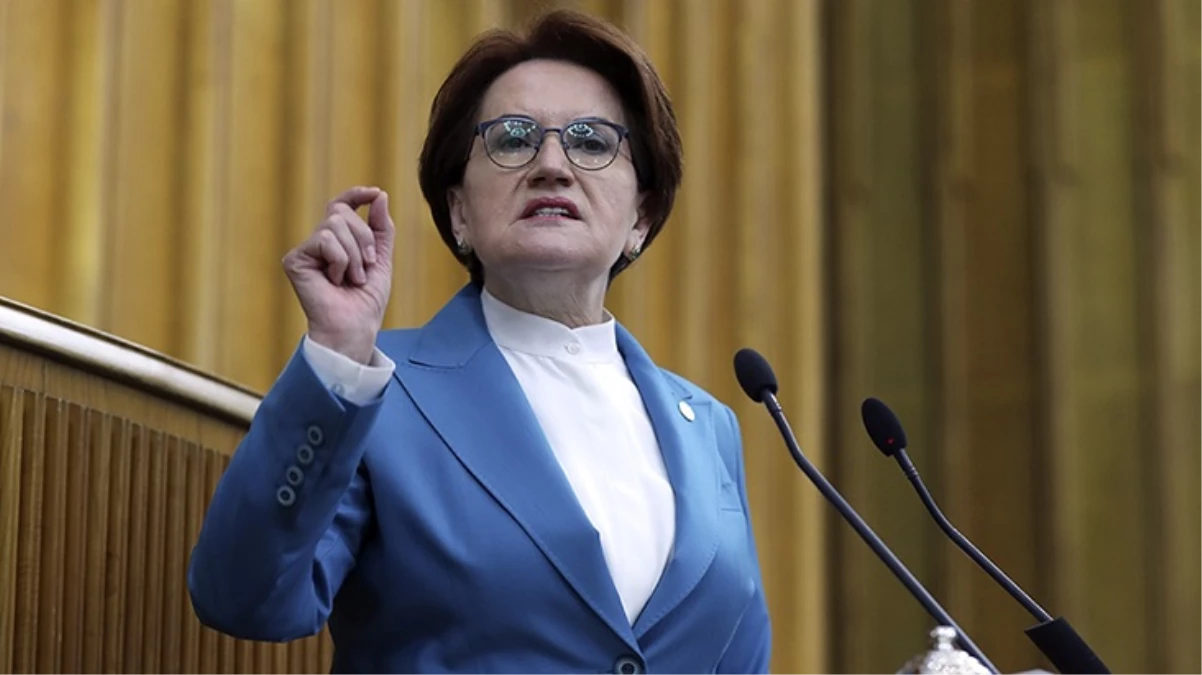 Meral Akşener, 