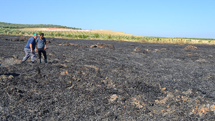 'Meteor düştü' iddiası ortalığı karıştı! Açıklama geldi