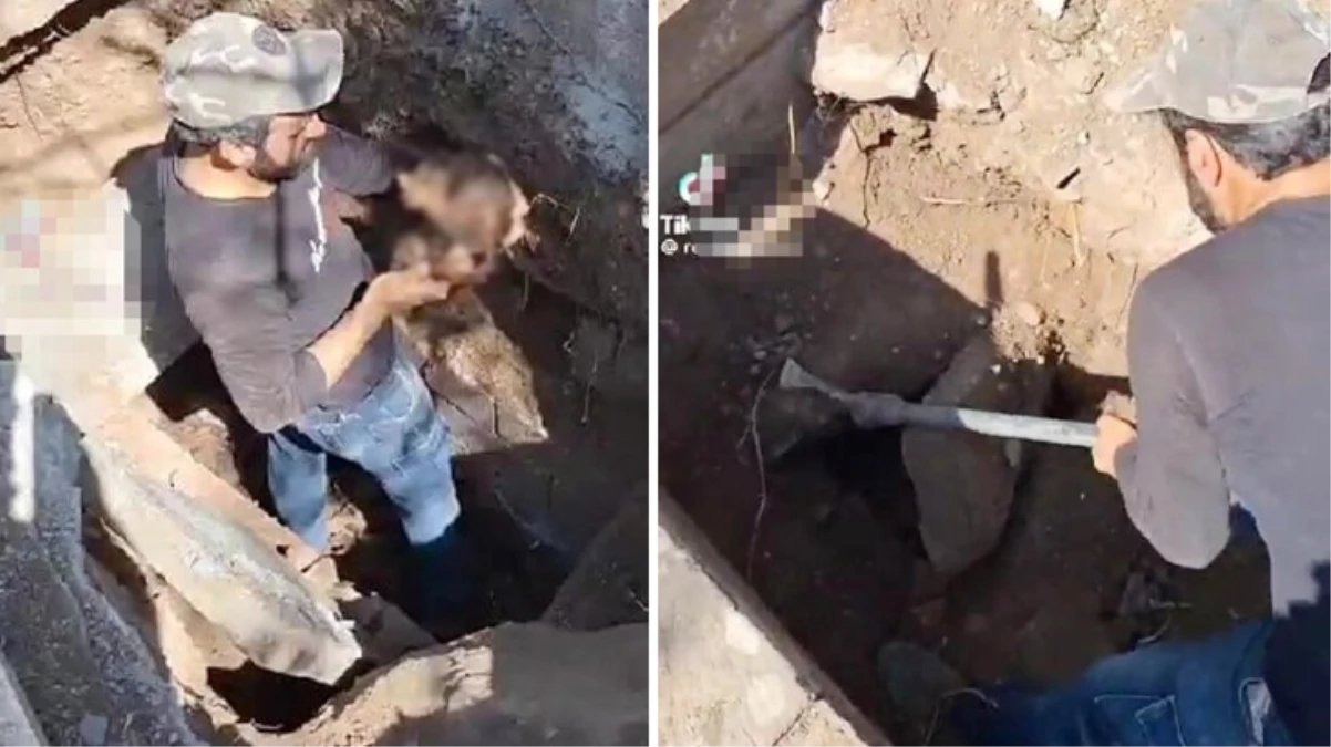 Mezar açma işlemi yapan görevlinin, kemikleri fırlatıp dalga geçtiği anlar pes dedirtti