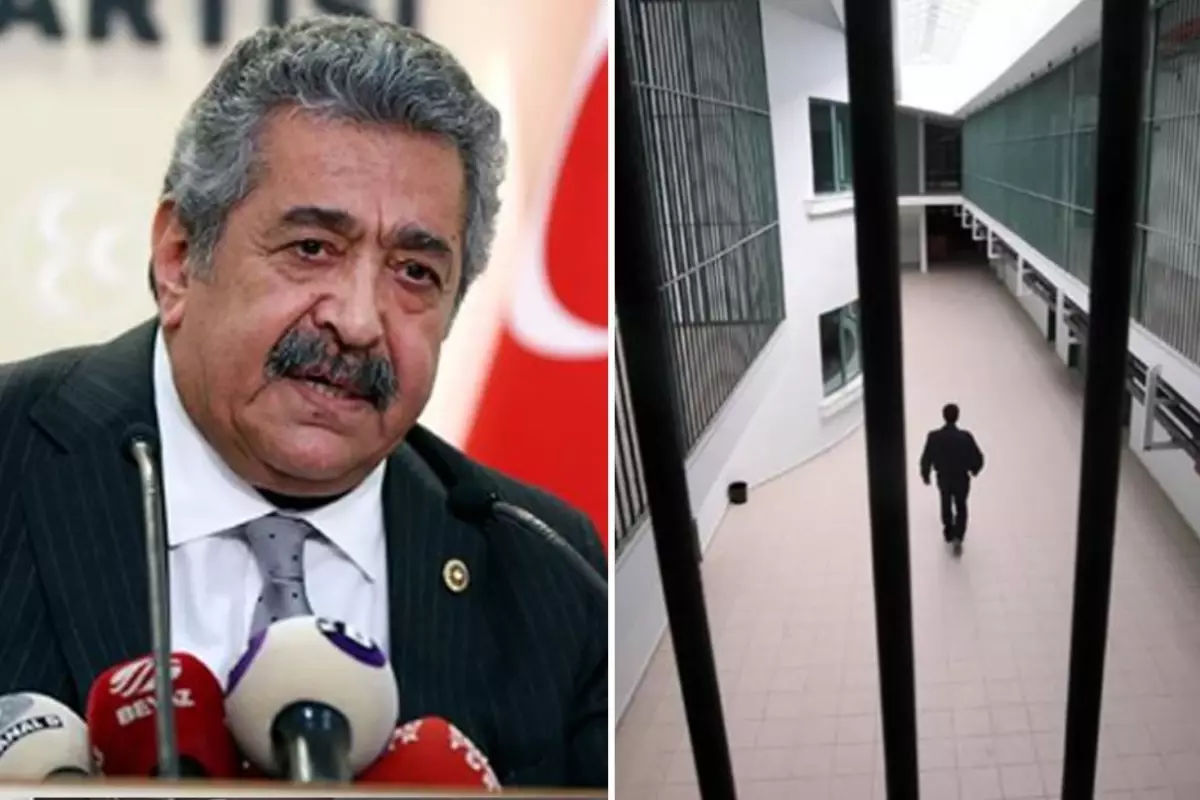 MHP Genel Başkan Yardımcısı Feti Yıldız'dan çok konuşulacak 'af' açıklaması
