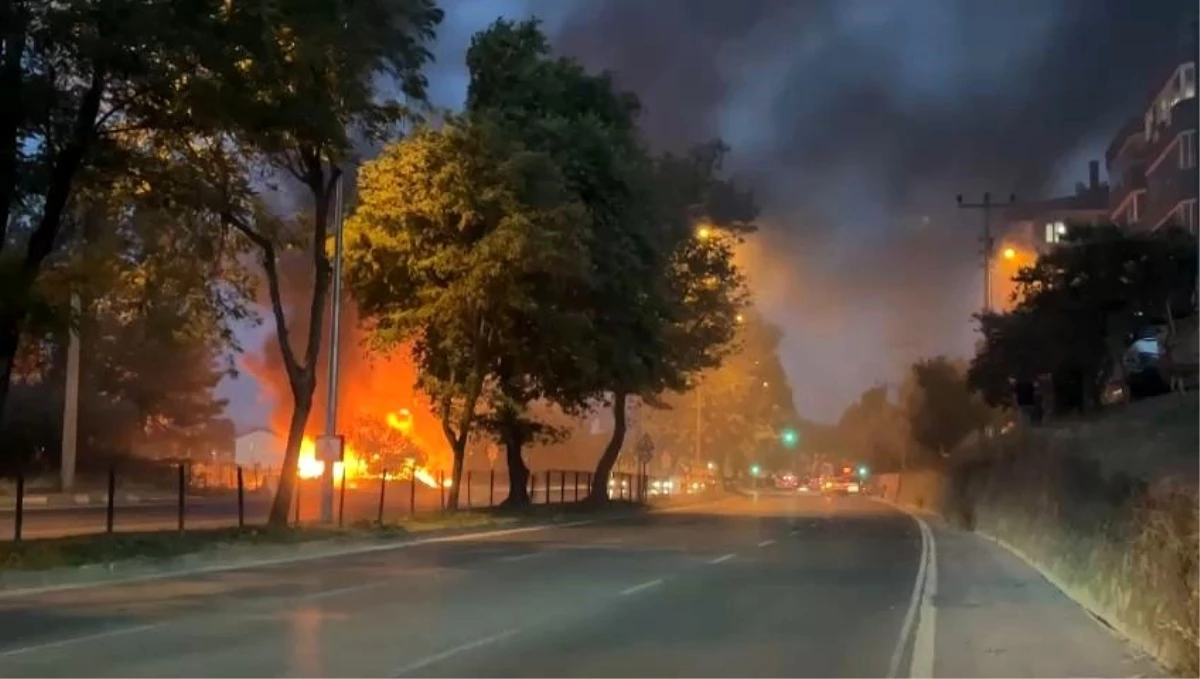 Mudanya'da AVM Yakınındaki Zeytinlikte Yangın