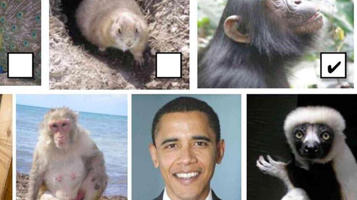 Öğretmen infiale neden oldu! Barack Obama'nın fotoğrafı da var...