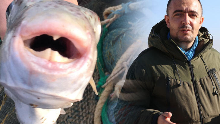 Onu yiyen öldü! 'Tanımayan milyonlarca insan var'