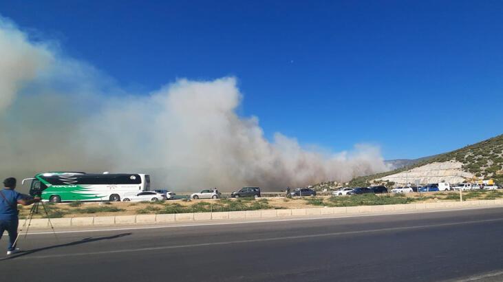 Orman yangınları devam ediyor! Acı tablo sabah ortaya çıktı...
