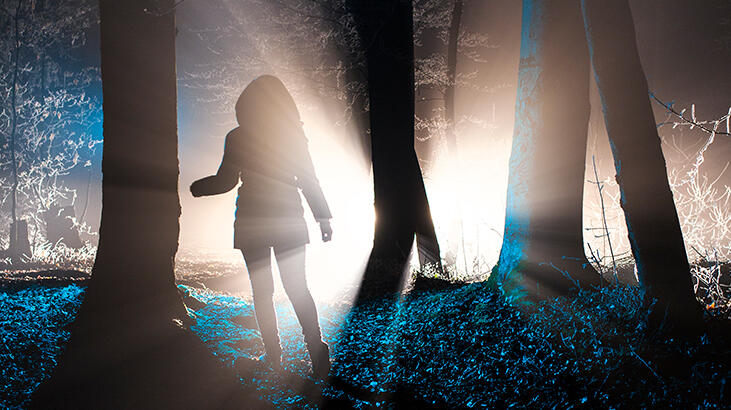 Ormanda iğrenç olay! 4 kişi 2 kadına tecavüz edip görüntüleri çekti